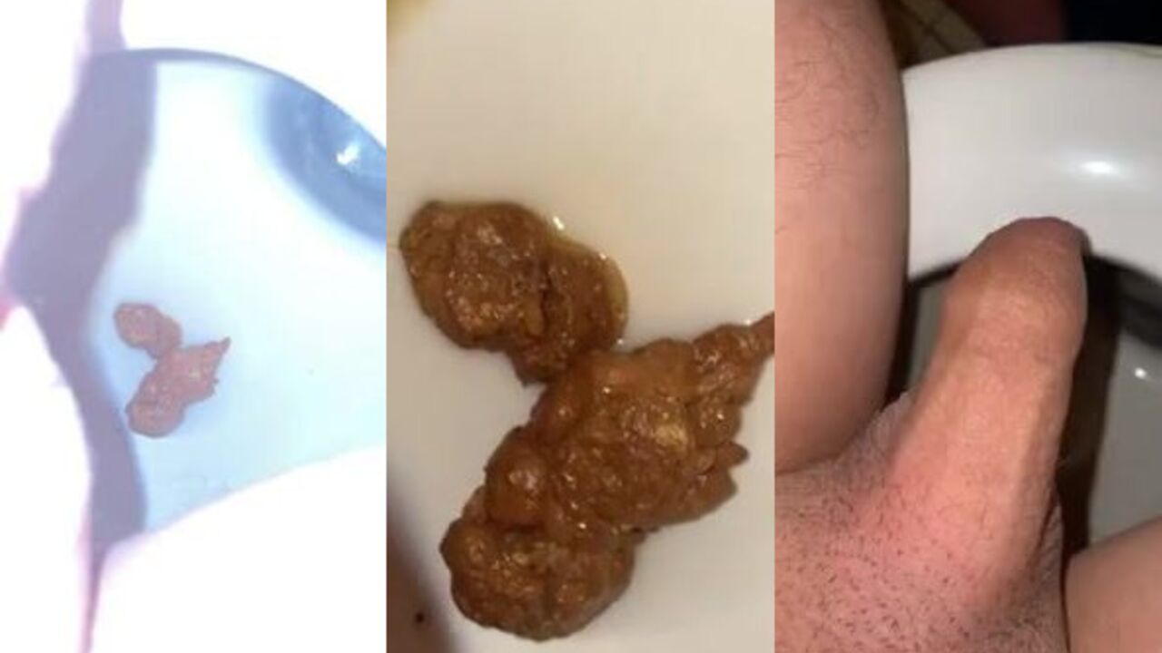 Get ready for a wild scat-fest on my big juicy cock