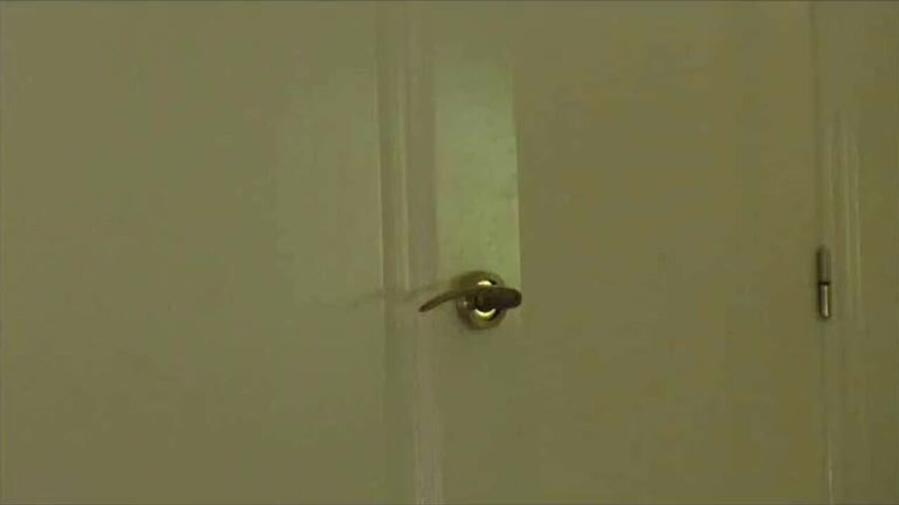 Get up close and personal with the scat in your life - it's hot, it's dirty, and it's always ready to be used!