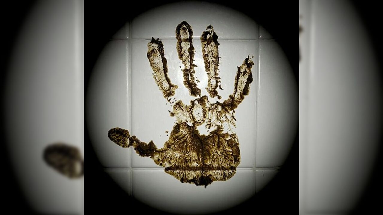 I too have been deeply touched by the diabolic one's filthy scat