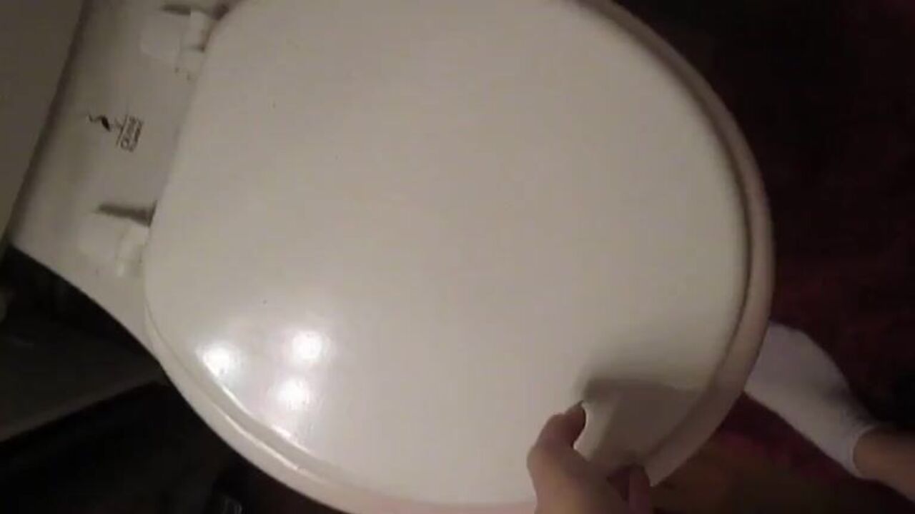 Dirty porn scat girls take turns getting their pussies pumped and holes filled