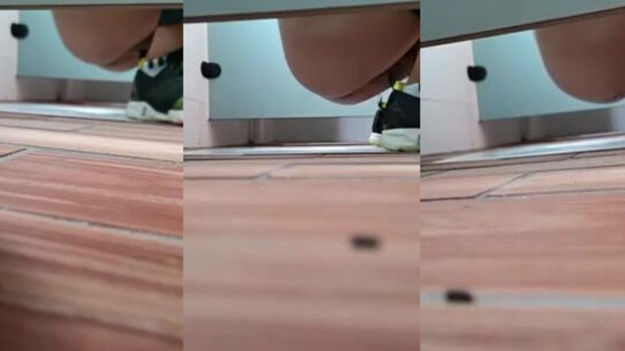 Watch as voyeurs take turns pissing in the toilet in this steamy scat porn clip