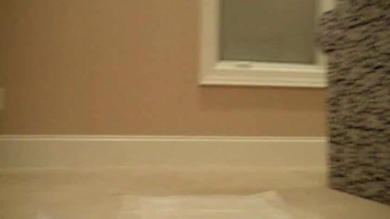 Get off to the hottest scat porn videos featuring scat girls and scat slaves!