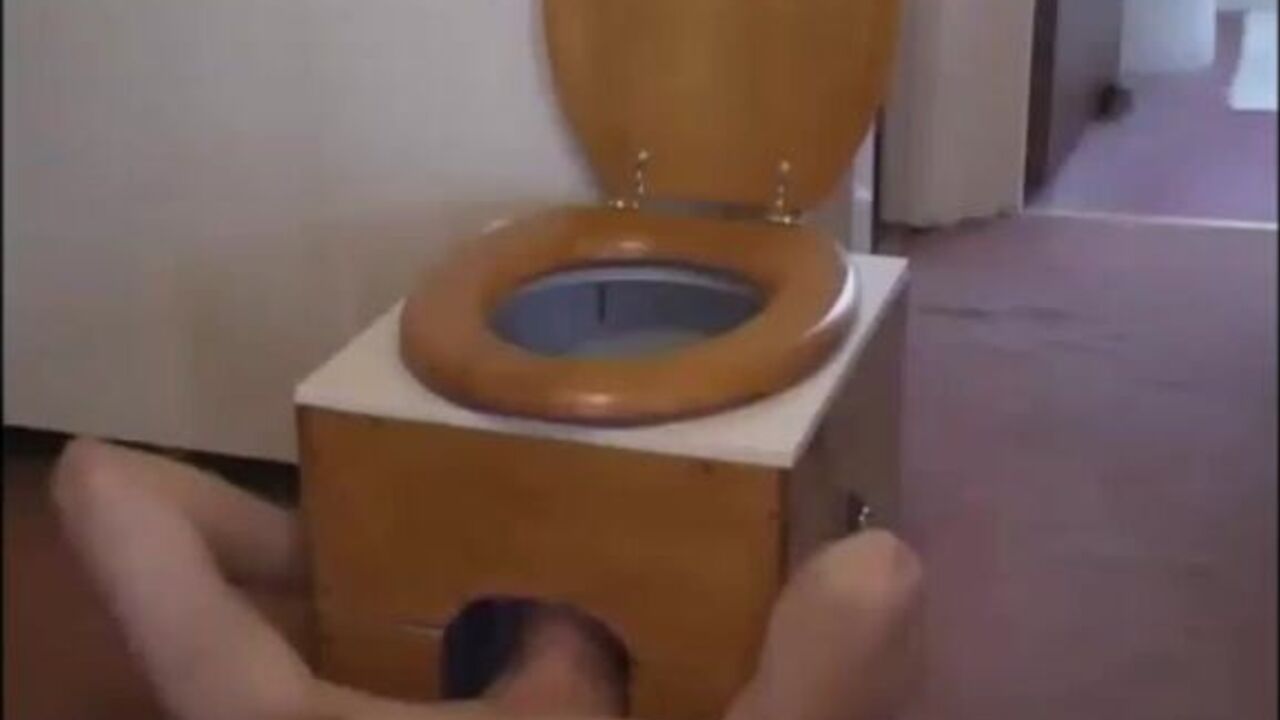 Get a kinky view of your favorite scat slave getting drilled in the toilet