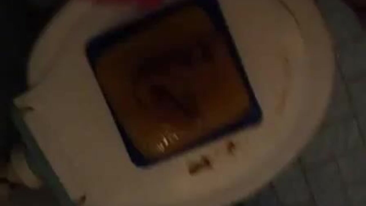 Frozen babes scat & pee uncontrollably in extreme kaviar frenzy