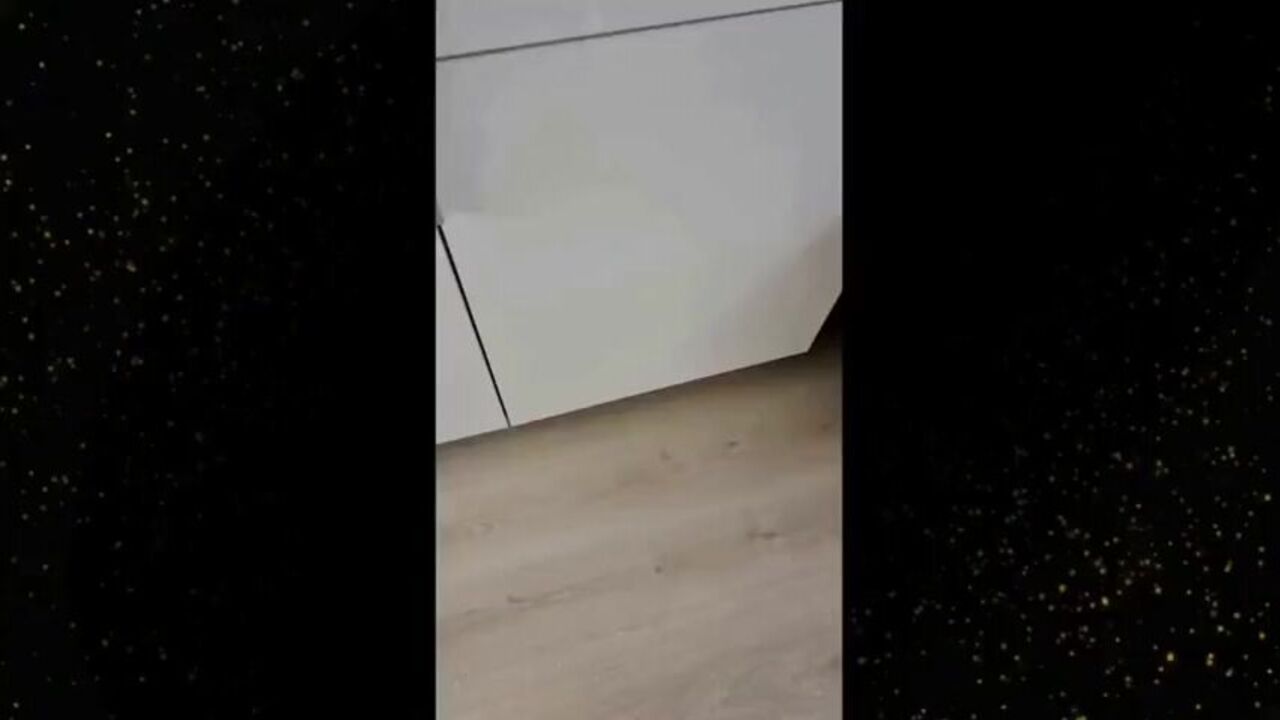 Scat Freak goes wild and smashes her way through a mess of dirty dishes