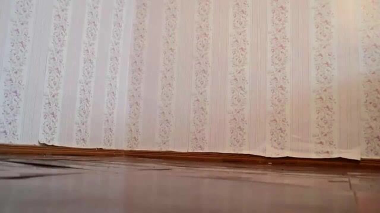 Satisfy your scat fetish with this filthy slave video