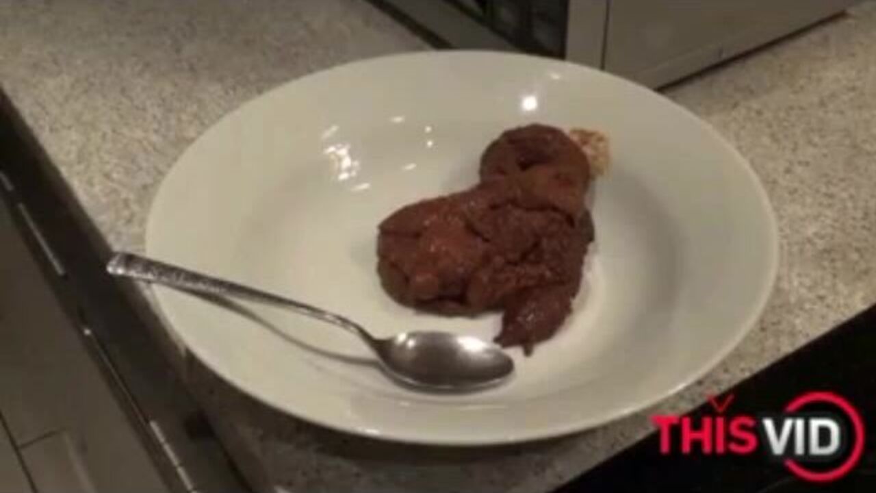 Your meal is waiting, scat slave! Satisfy your hunger with some hot scat action!