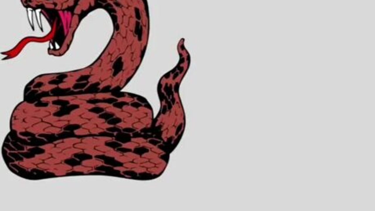 Watch this dirty video of a scatty slut getting her ass pooped out in a scat porn video