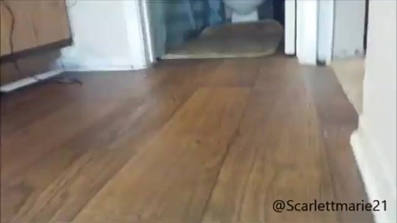 Watch this wild ebony slave get her scat wet and dirty with her feet in sight!