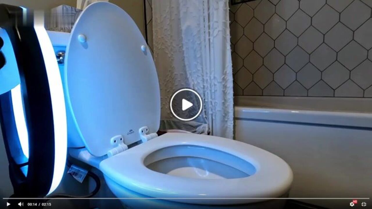 Watch this scat-loving slut get her holes stretched by a toilet fetish