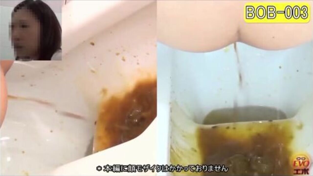 The brown side of life: A wild compilation of scat and scat porn videos!