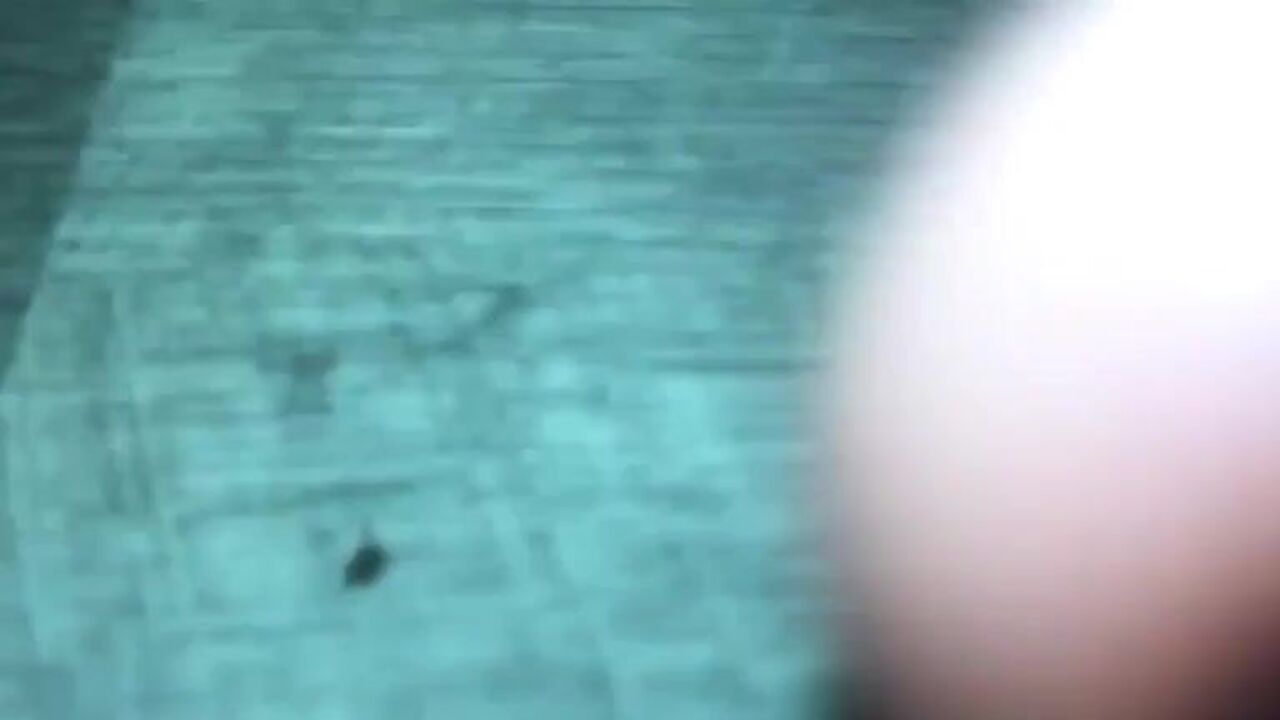 Watch this pierced slut get her scat wet and wild with her favorite shitting pornstars