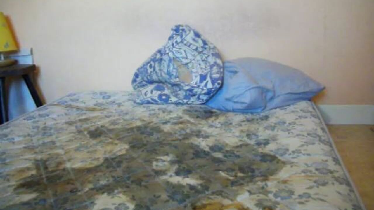 Watch scat porn videos of couple Chiotte 11 getting it on in a wild scat party!