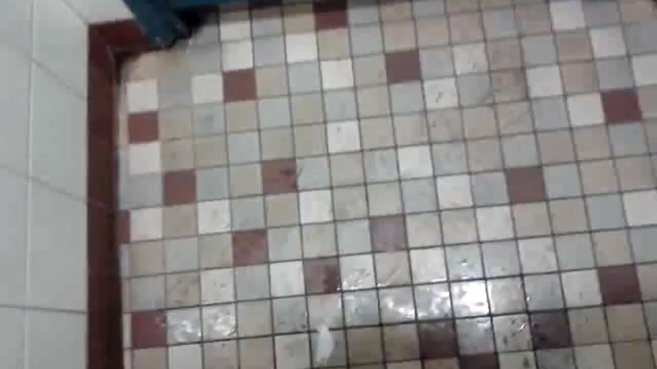 Watch the wildest scat porn ever: 2012-01-12, Episode 9, Scat Slave Video