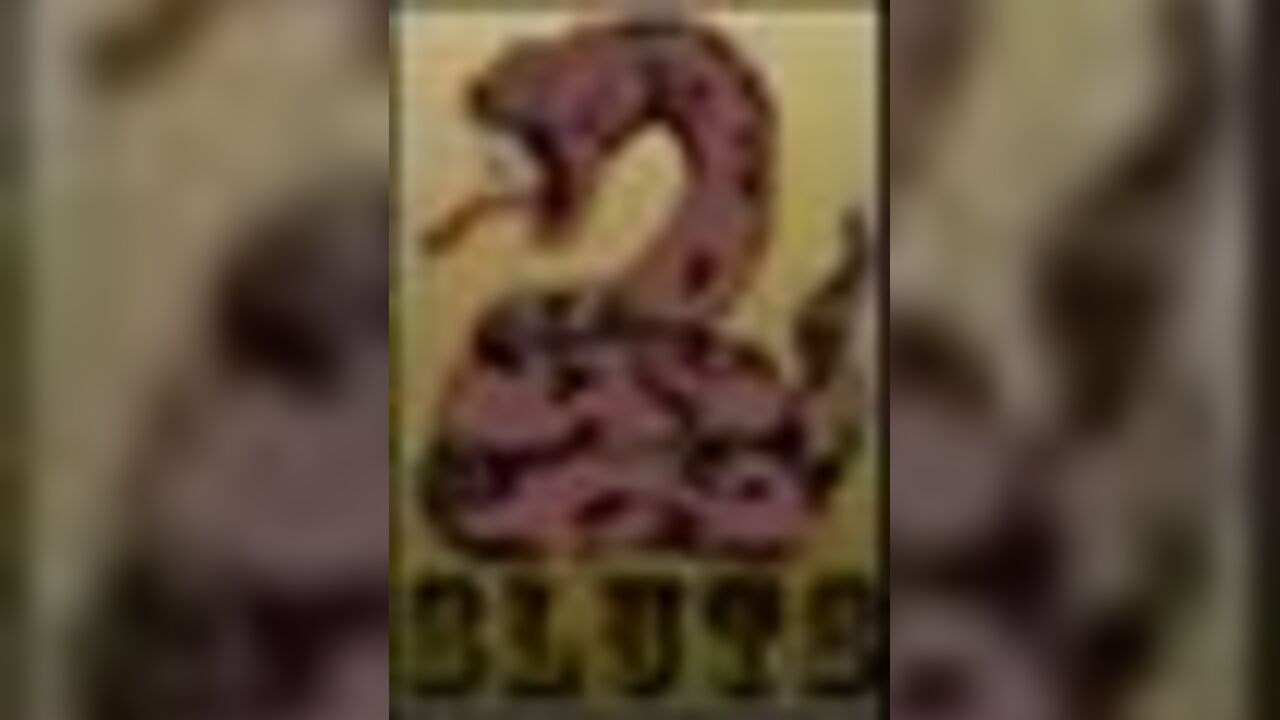 Get up close and personal with the scat of your dreams - 18-1