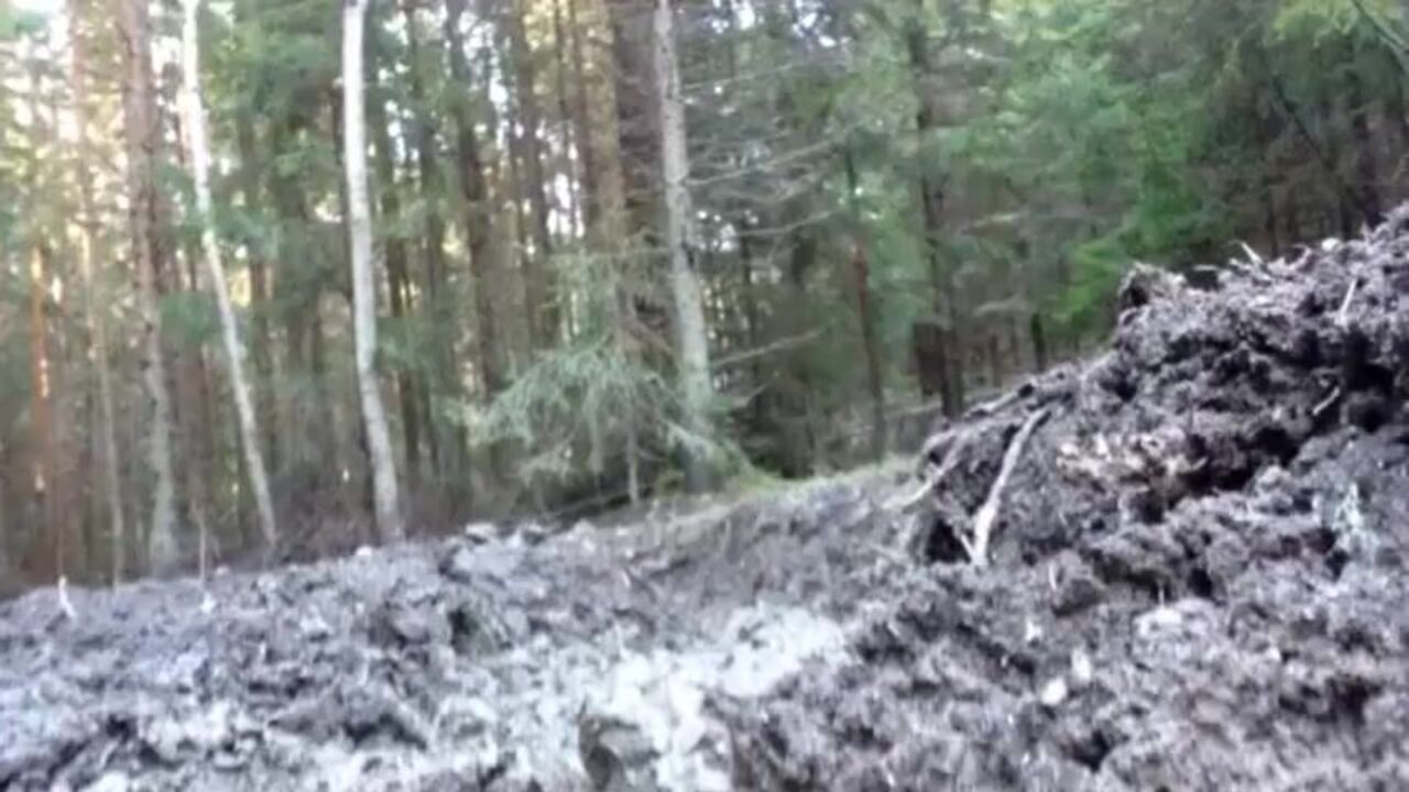 Kinky Pig gets drenched in mud while scatting and guzzling her own golden pee