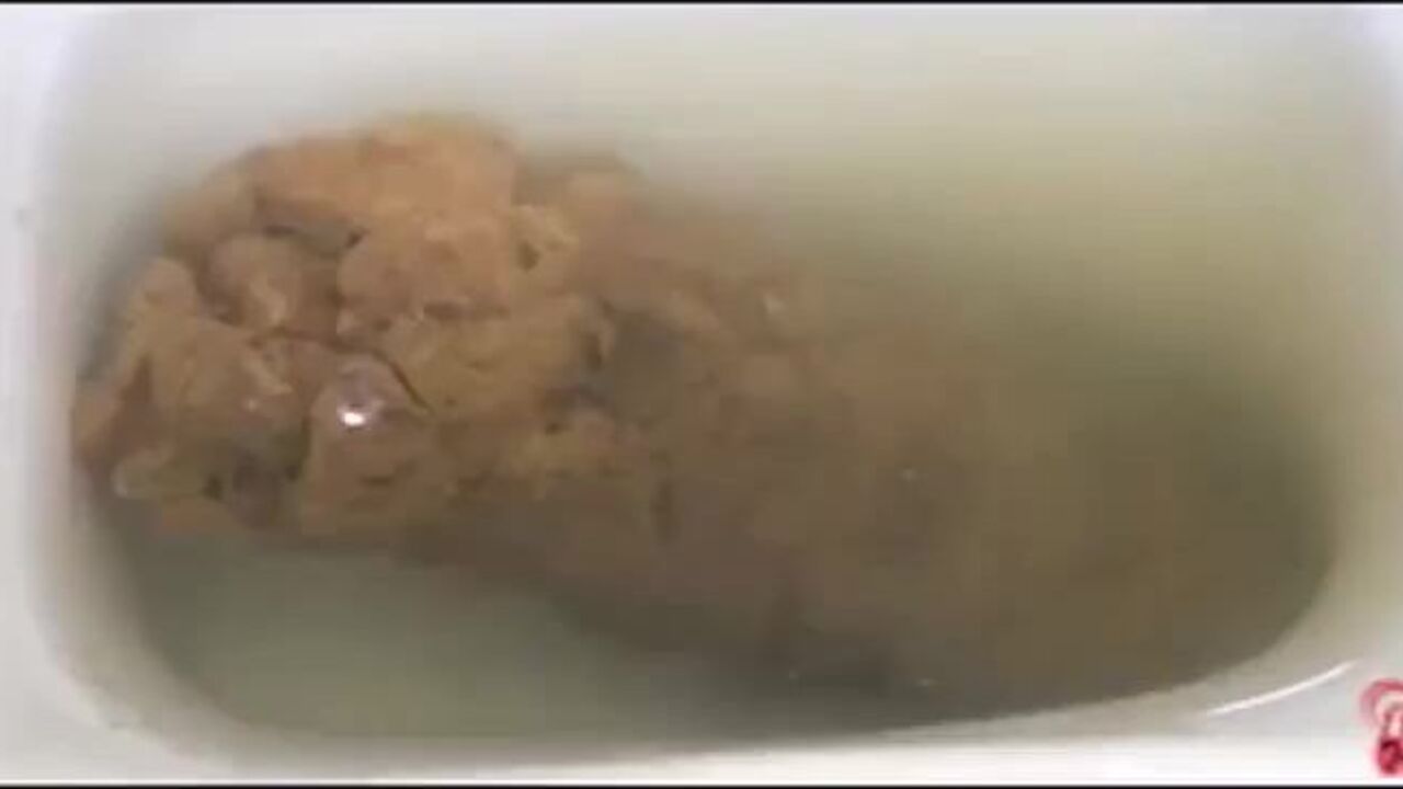 Watch this filthy scat porn video of a poop girl getting her pussy and ass stuffed with dick