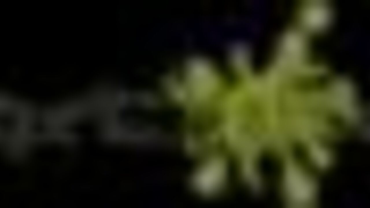 Watch as kinky couple indulges in some kinky scat play