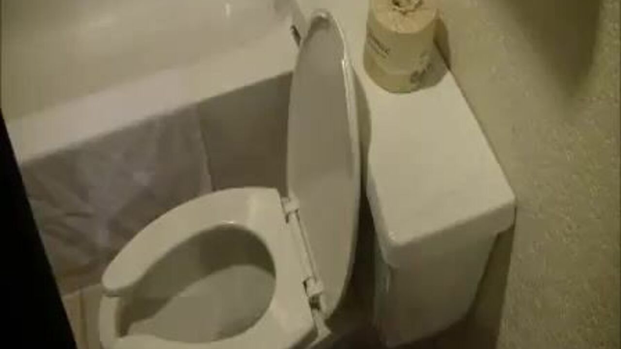 Watch this scat porn video of a woman getting her scat pumped in the toilet