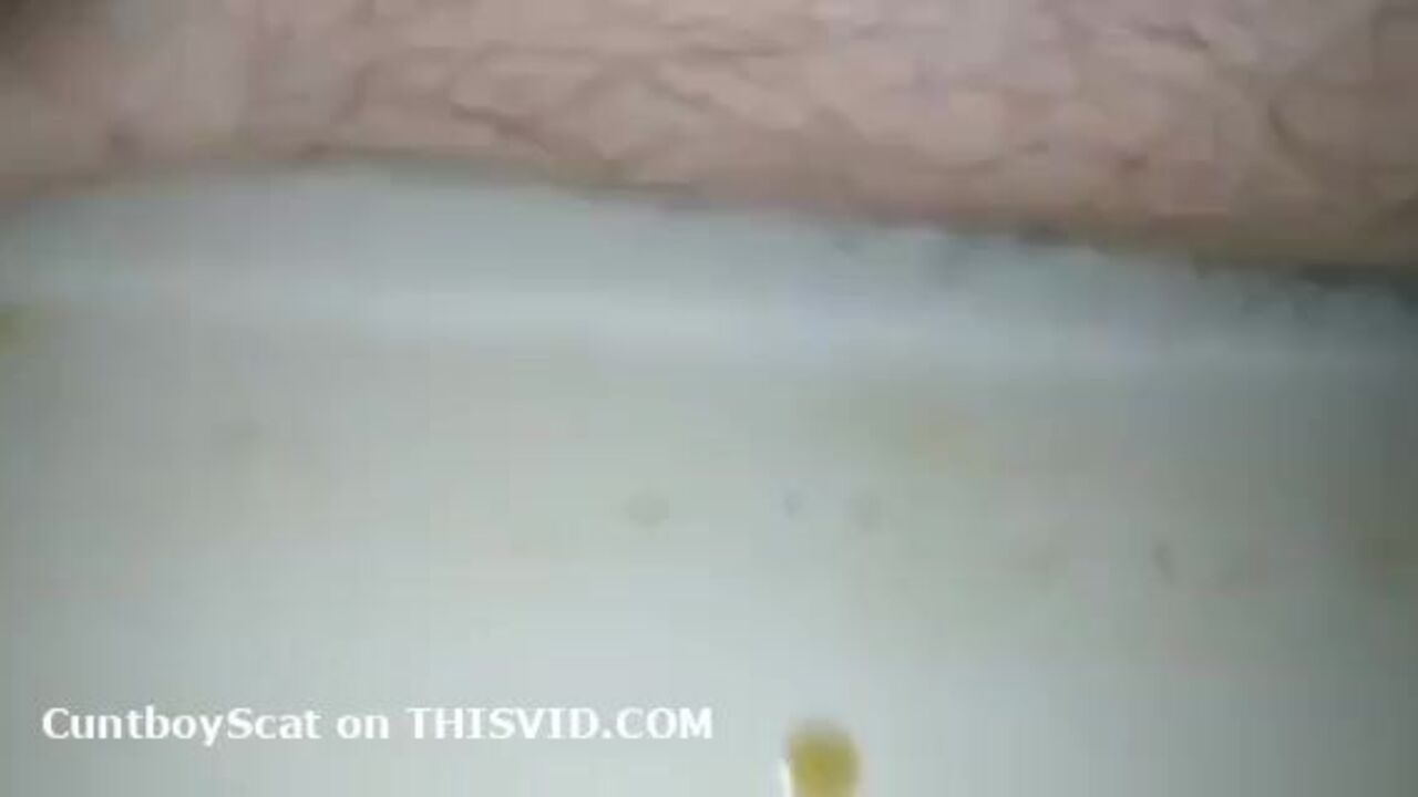 Part 2 of the filthy play with a scat slave getting wild with ftm and scat porn