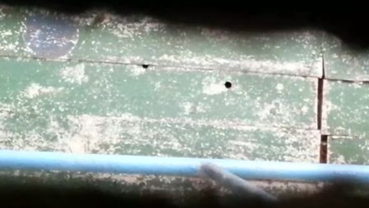 Watch this filthy slut get down and dirty with a big turd