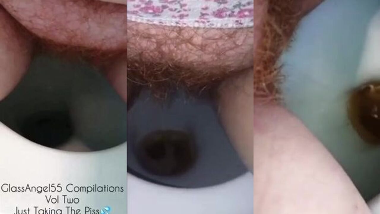 Just Taking the Piss Vol. 2 Compilation - Compilation of scat and piss videos