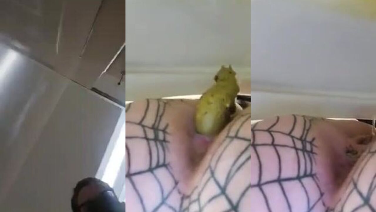 Watch these kinky scat girls getting their filthy needs satisfied in this scat porn video!