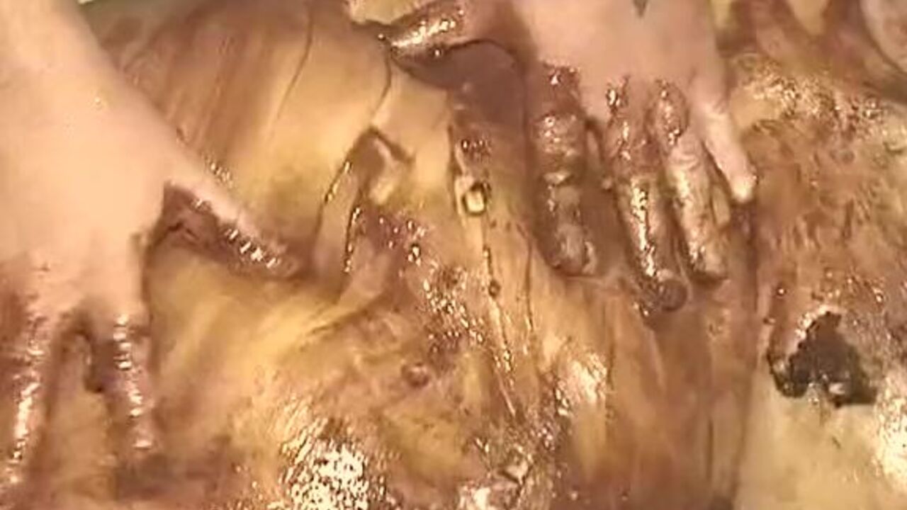 Watch this BBW slut get her fat ass pounded in scat porn video