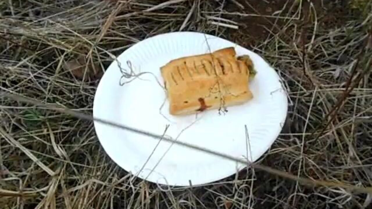 ThisVidcom presents scat porn with a caviar twist - K-Puff pastry with scat & poop action