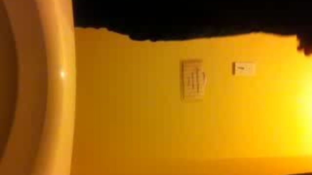 Get up close and personal with the scat porn of real women!