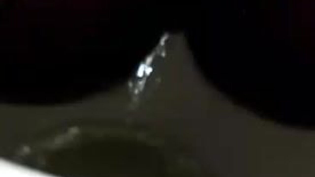 Introducing Brooklyn Brown, the scatty pornstar with a huge dick