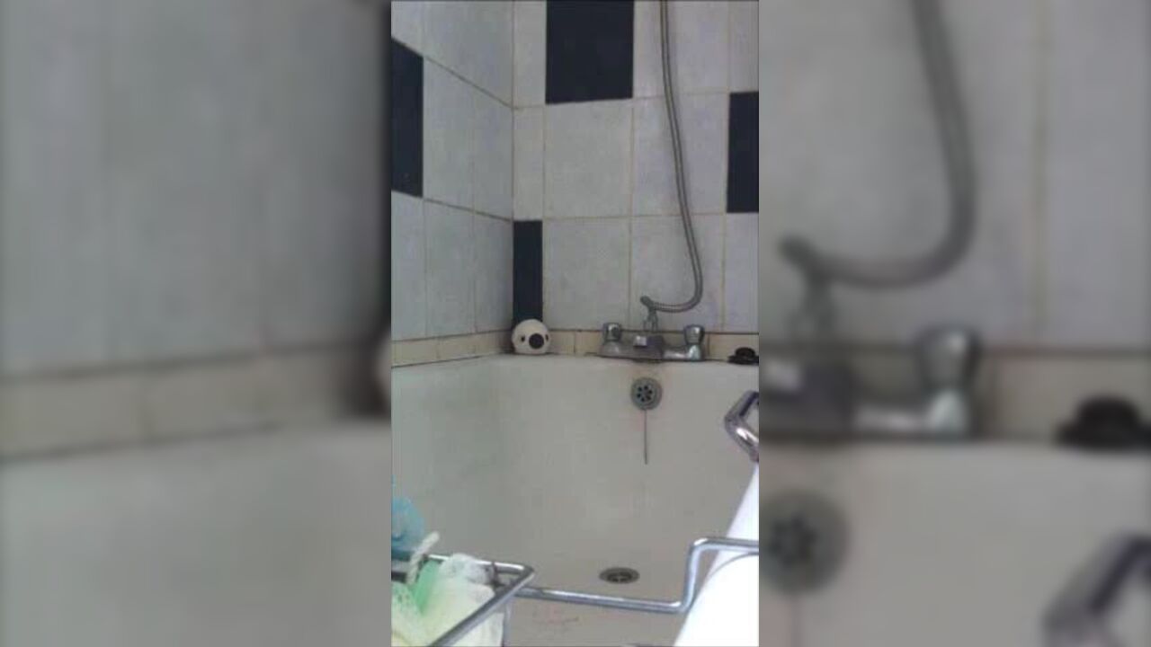 Hot scat porn featuring naughty neighbors