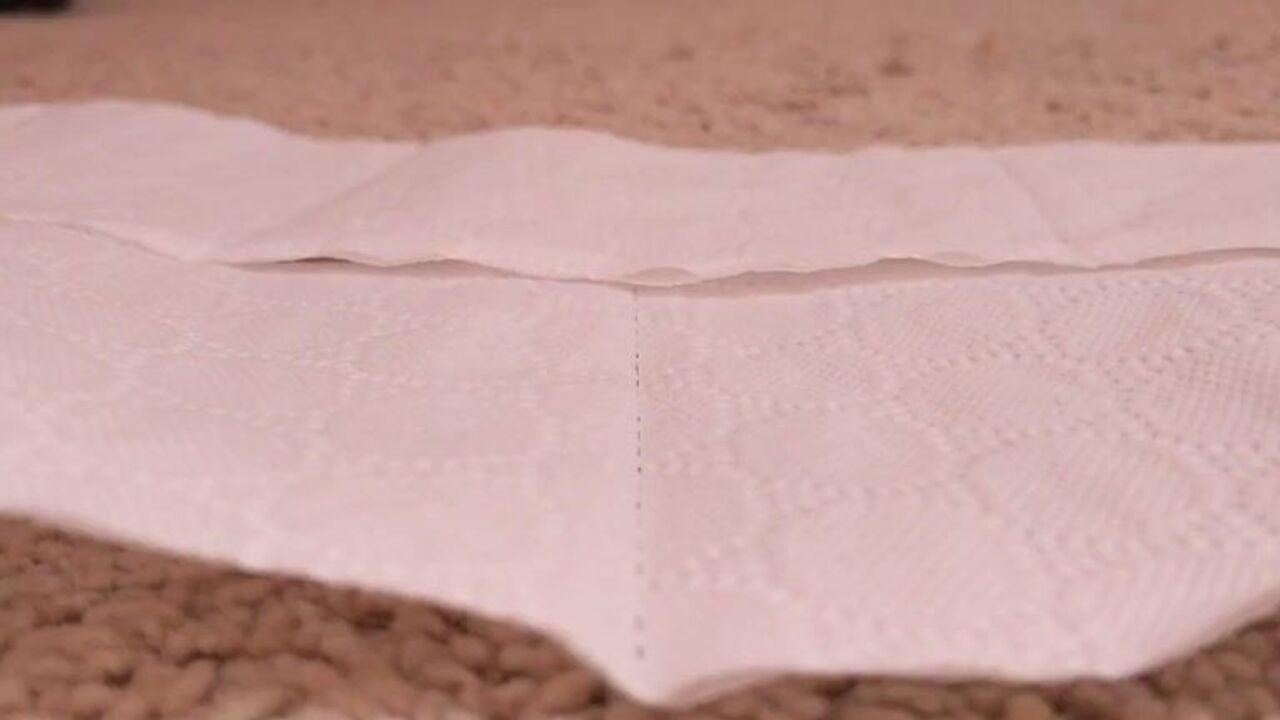 Watch this kinky slut get her scat pounded hard and fast in a slow-motion release