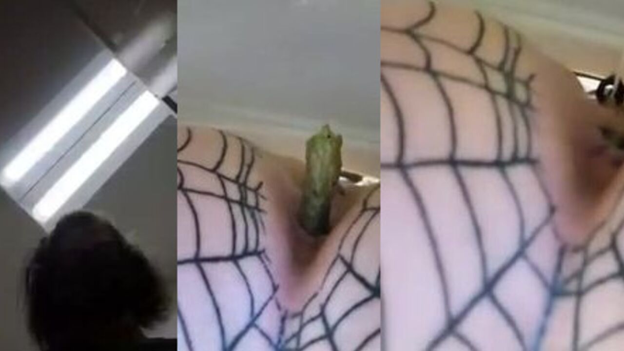 Watch these filthy sluts scat and get off in a wild orgasmic frenzy!