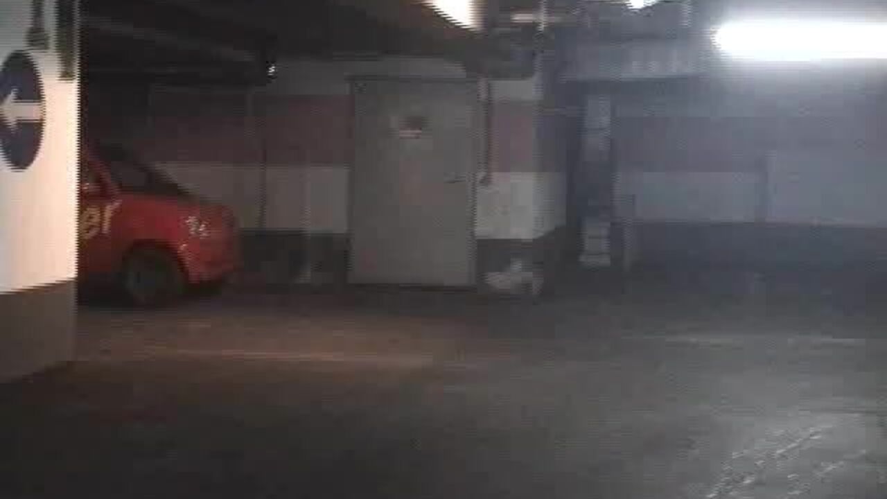 Watch these kinky scats get wild and nasty in this porn video