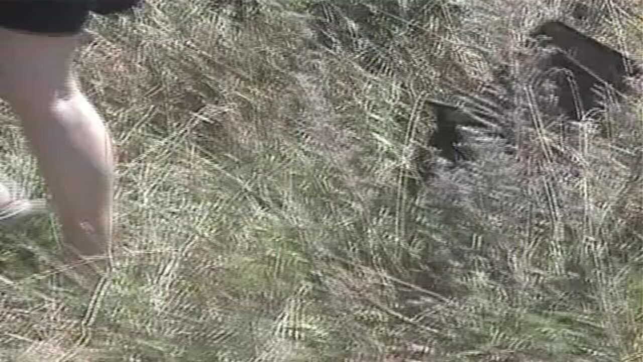 Watch this natural scat girl get off on pooping out and getting wet