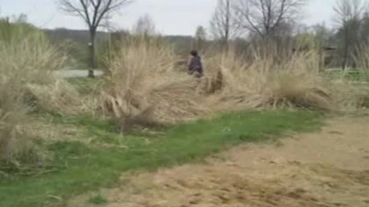 Watch these filthy scat videos featuring scat girls getting off with pee and pooping