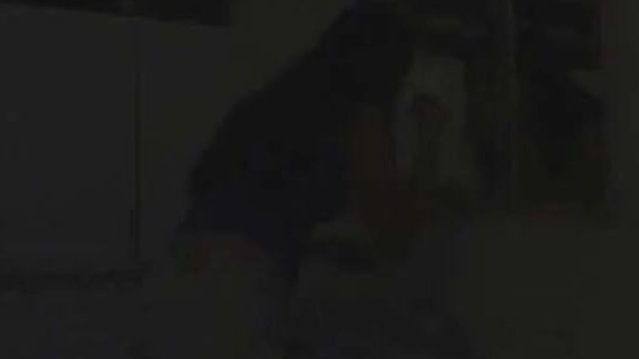 Watch this Latina cutie get off on pooping in the toilet