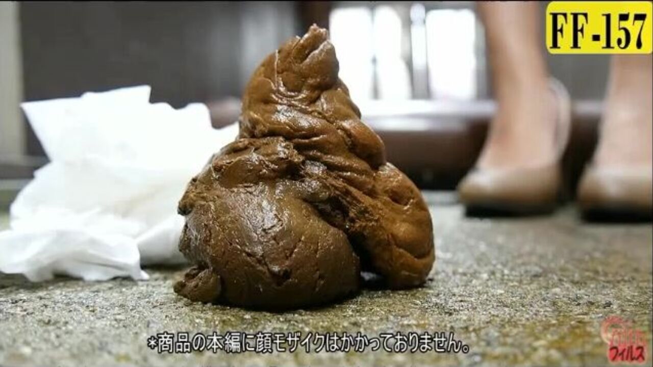 The Brown Side of Life: A Porno Scat Video of a Scat Woman in Life