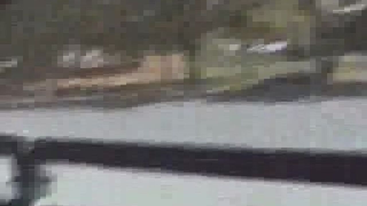 Watch this hot blonde in tight jeans get a poo-ful of her own