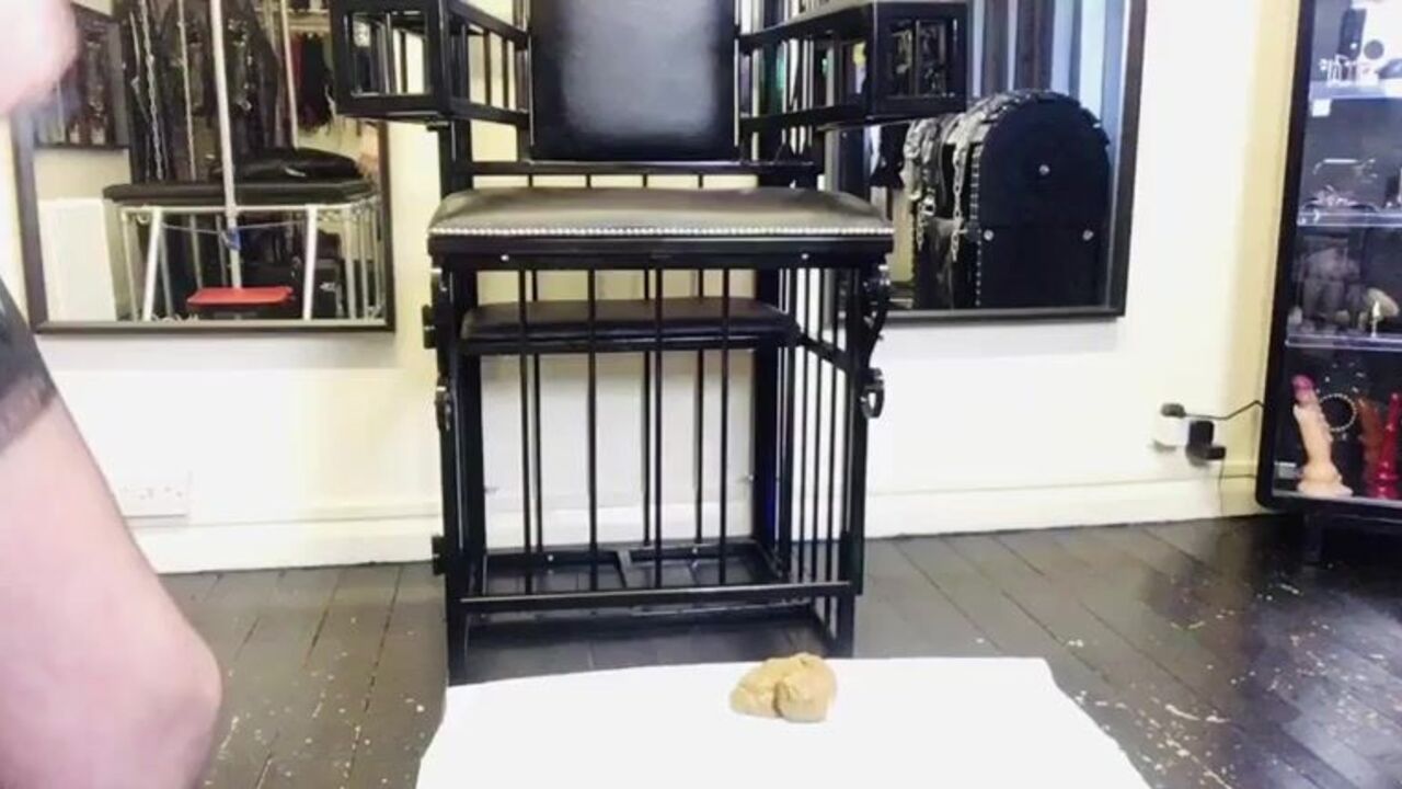 MissJuliaTaylor teaches toilet training with her kinky scat fetish video