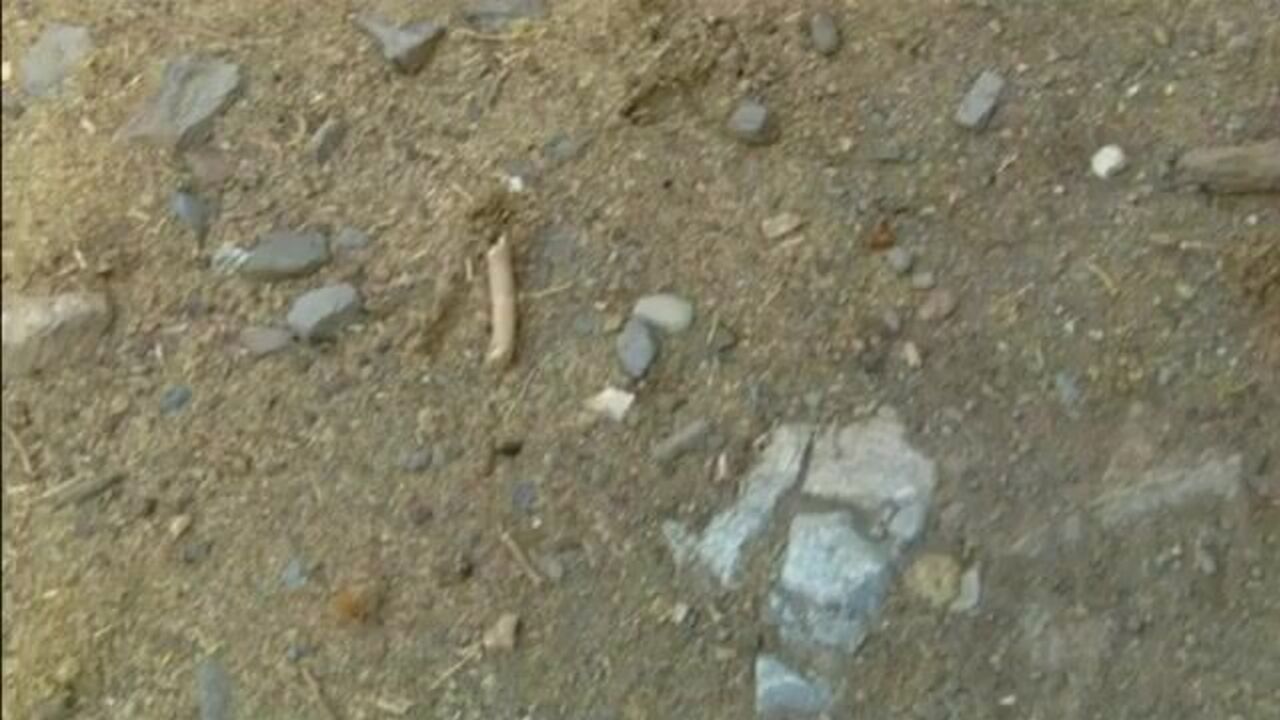 Watch Mom's Creamy Style - A Wild Scat Video