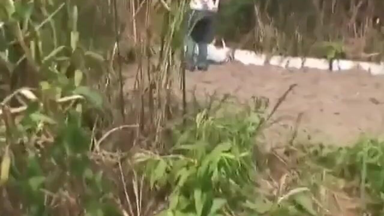 Watch these filthy scat girls get their pussies drilled in this wild scat porn video