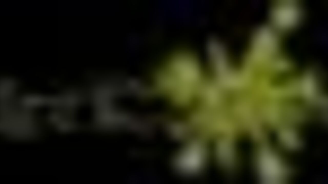 Get up close and personal with the scat, pooped, and scatting action of a wild pornstar