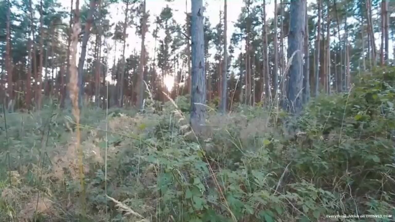 Watch these filthy sluts scat in the wood and make you watch in awe