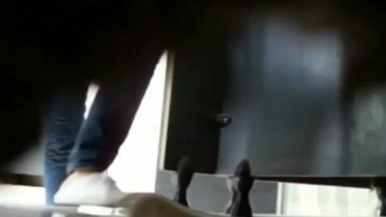 Watch these filthy scats get pumped and pounded in wild fetish video