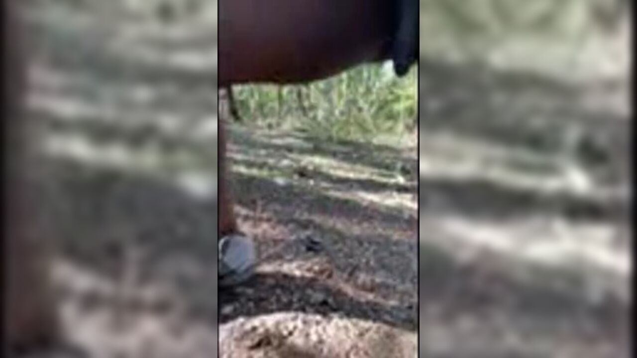 Naughty Scat Friends get dirty with each other in public park