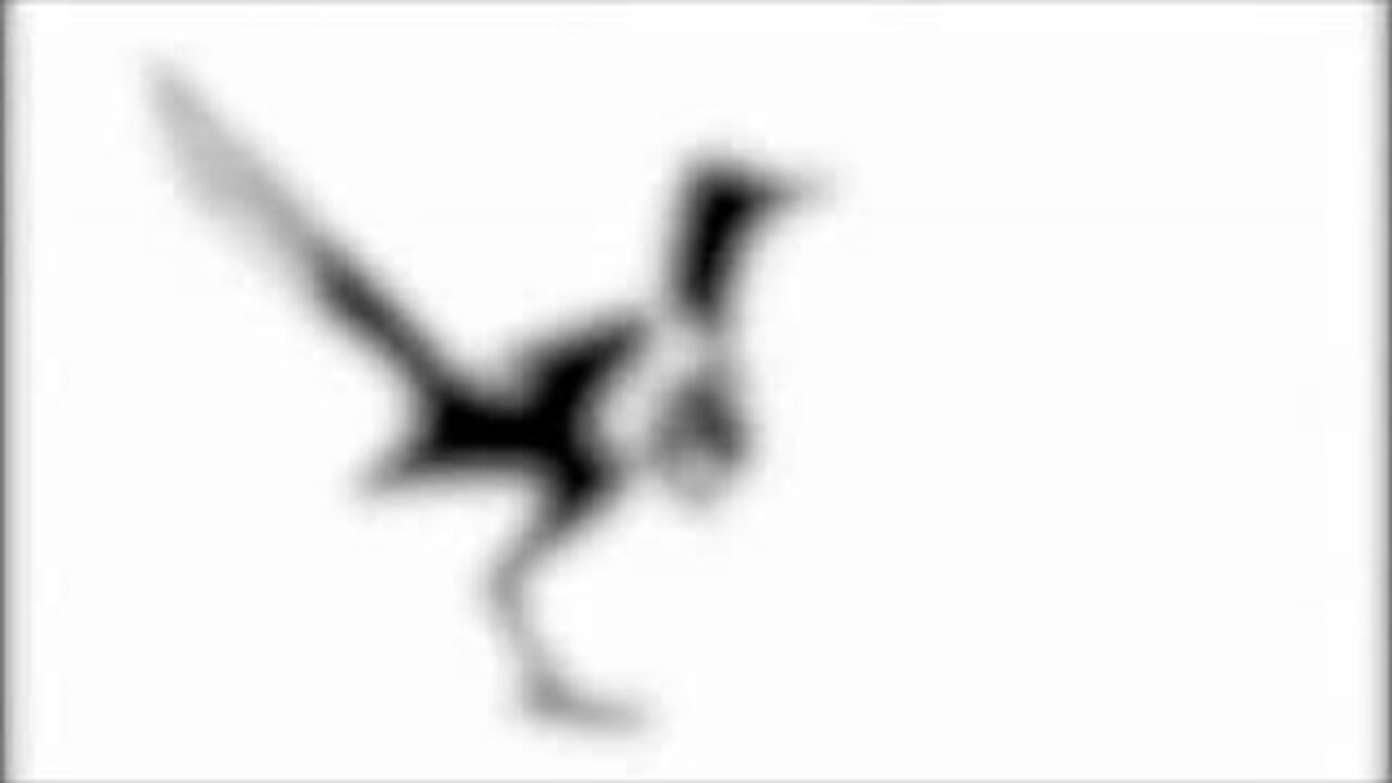 Watch this BBW mature slut fart like a pro in her pooped up pussy