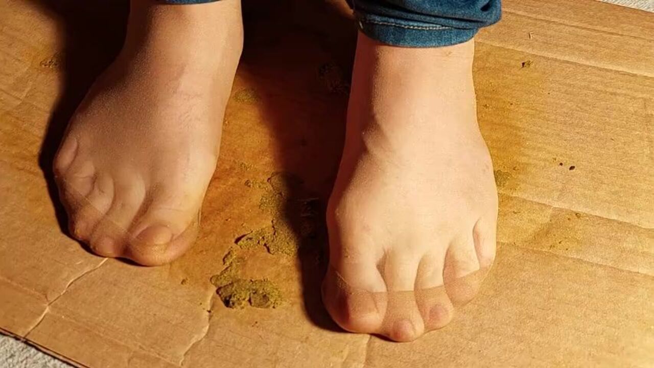 Watch as Scat Feet Get Wrecked by Messy Nylon Feet in a Messy Trampling Session!