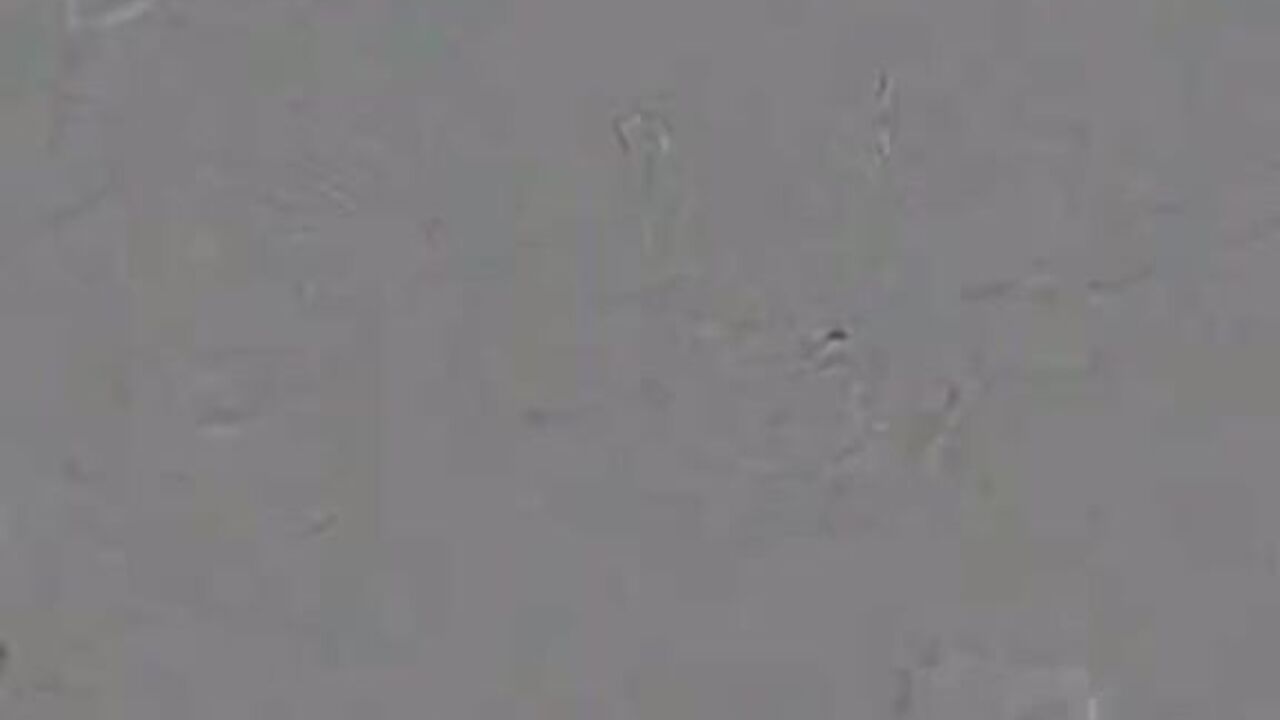 Watch these kinky sluts get off on kinky scat and puke play